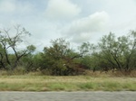 35858DSC02625.JPG