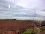 55918CIMG6641.JPG
