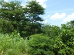 19598P1010445.JPG