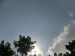46449CIMG0738.JPG