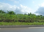 25879P1020298.JPG