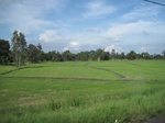 33306IMG_5642.JPG