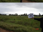 10883gt-090-wetland-large-flood-plain-02.jpg