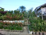 30609CIMG0409.JPG