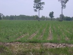 34602RIMG0068.JPG