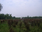 28097RIMG0152.JPG