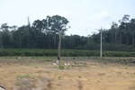 2024-10-10_17-07-56_AD35F8FA-572F-4A3C-97BF-DD94B4013CEC.jpeg