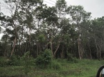 33314IMG_5650.JPG