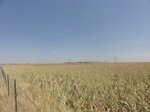 35040DSC01942.JPG