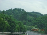 34737CIMG2565.JPG
