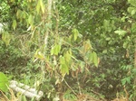 48316CIMG4653.JPG