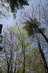251IMG_4147.JPG