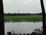 24559DSC00762.JPG