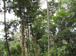 16328IMG_5105.JPG