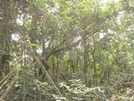 50261DSC02063.JPG