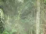 48465CIMG4802.JPG