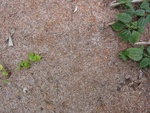 46818DSC02156.JPG