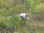 15872IMG_4419.JPG