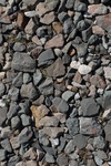 10152Field Survey 1 036.JPG