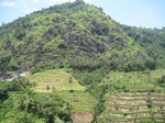 15812IMG_4345.JPG