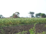 17341100_2027.JPG