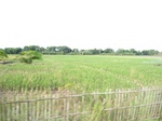 14398IMG_4740.JPG