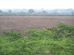 516723042008(15).JPG