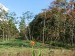 31240CIMG1102.JPG