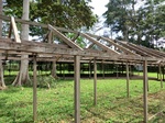 46458CIMG0747.JPG