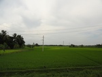 22042DSC00165.JPG