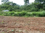 20130P1010981.JPG