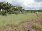 12141GT139_Laterite_depression_outside.JPG