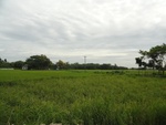 26119DSC01158.JPG