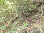 46705DSC02039.JPG