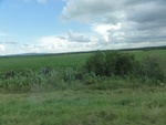 24830DSC00999.JPG