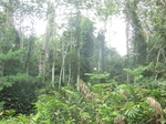 48125CIMG4462.JPG