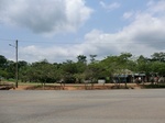 46334CIMG0623.JPG