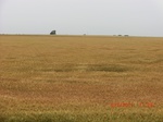 29607CIMG0875.JPG