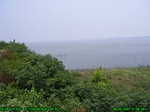 1068R0015358_tag.jpg