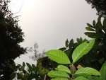 50199DSC01998.JPG
