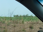51520P1000682.JPG