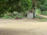 46876CIMG3213.JPG