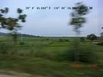 53859earlyrice_5.gps.jpg