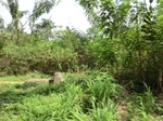 46571CIMG0860.JPG