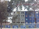 5892100_1597.JPG