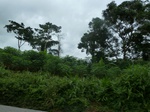 20074P1010925.JPG
