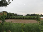 21954DSC00207.JPG