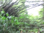 45050CIMG2135.JPG