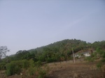 3798RIMG0102.JPG