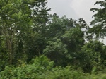 49601CIMG5938.JPG